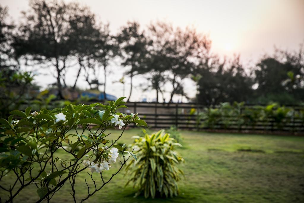 カラングート Casa Cubo By The Beach Bed & Breakfast エクステリア 写真